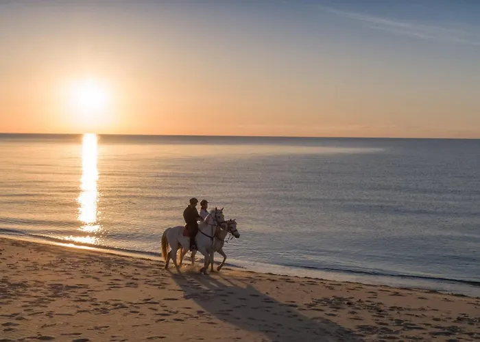 Вилла Iris Коста Рей