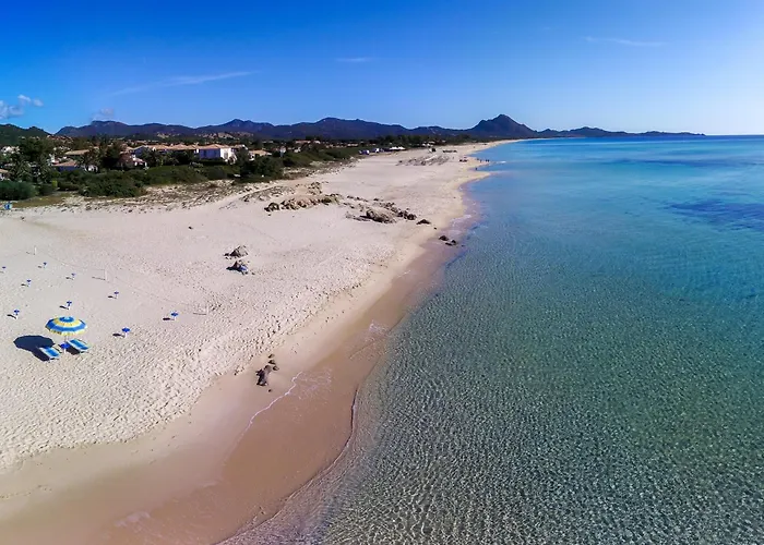 Iris Коста Рей