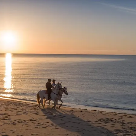 Willa Iris Costa Rei