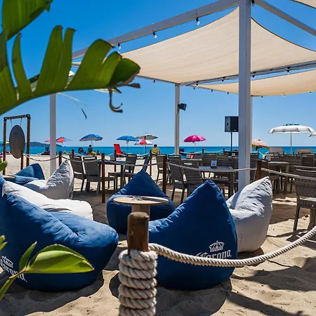 Iris كوستا ري